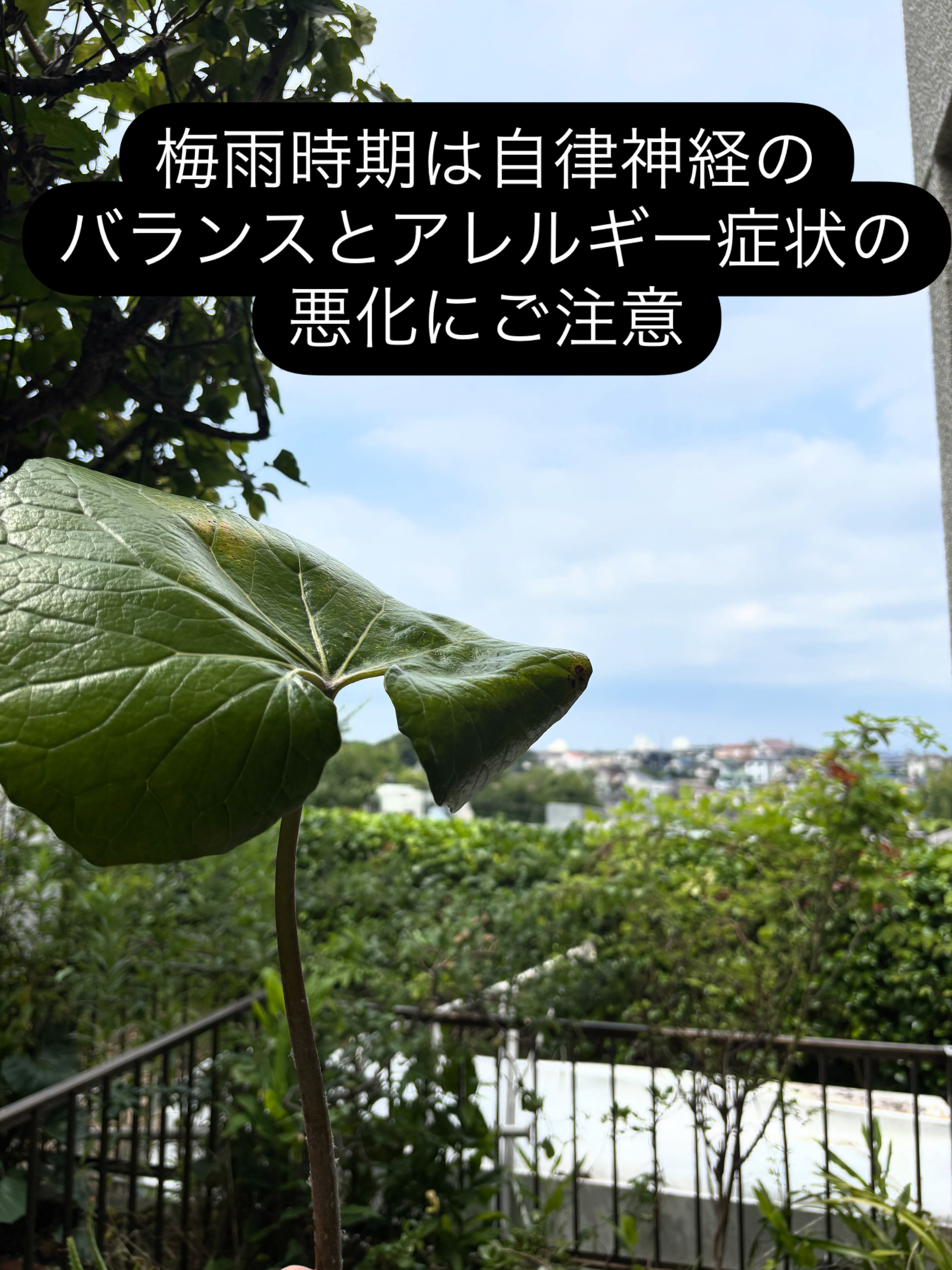 梅雨時期は自律神経とアレルギー症状悪化にご注意