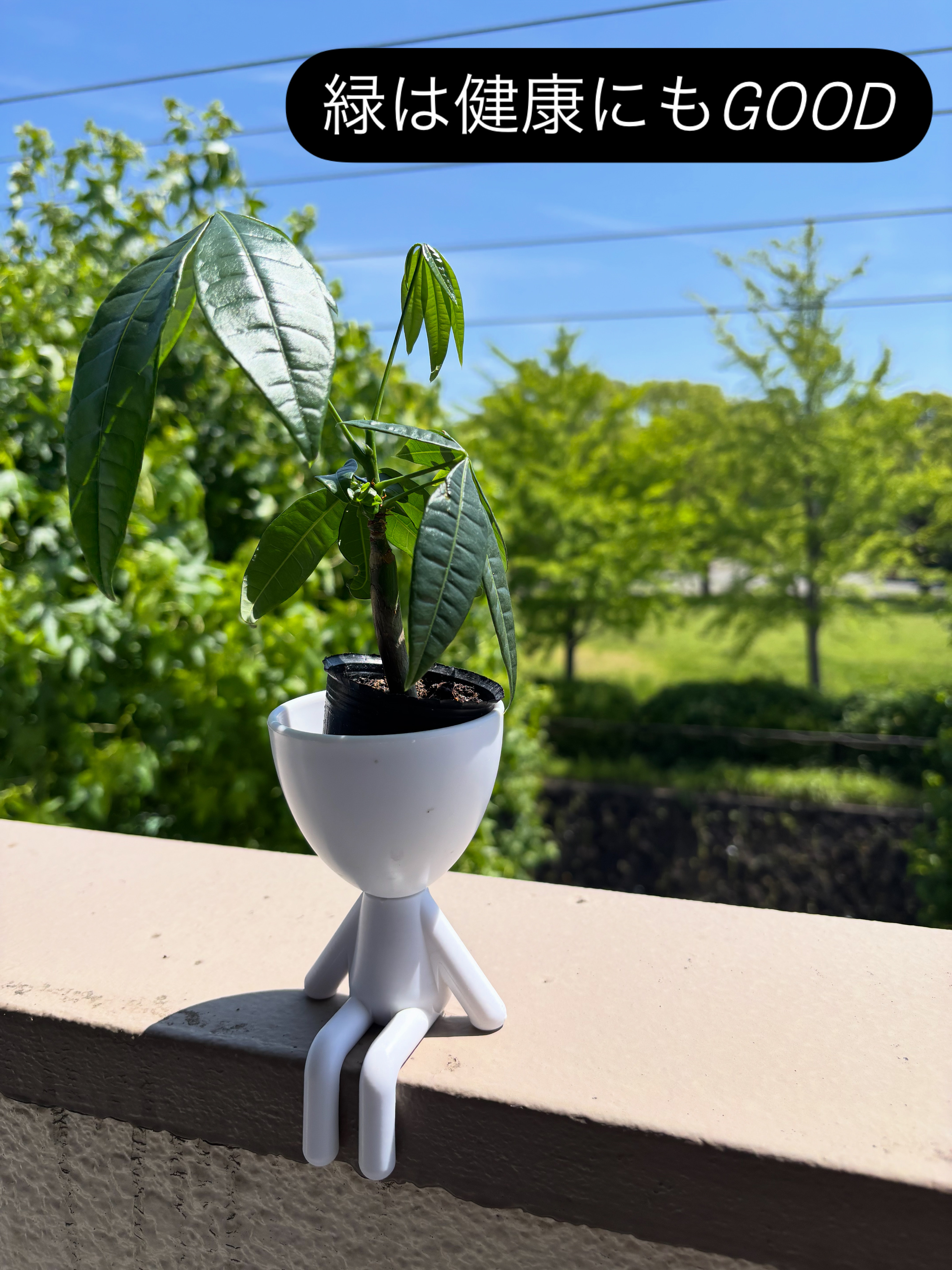 草木の緑は健康にもgood